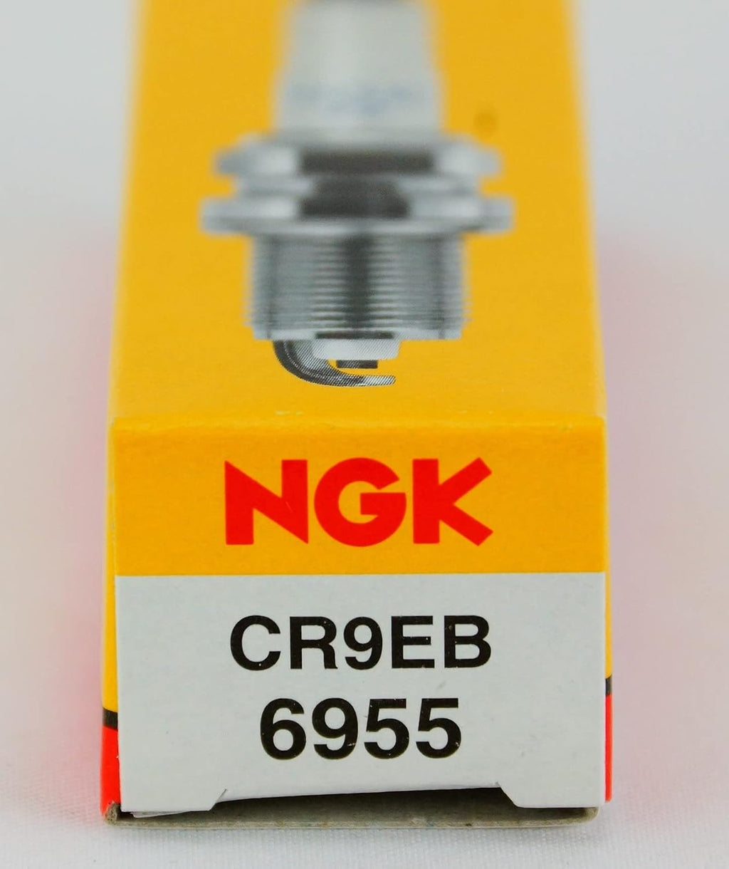 SPARK PLUG #6955, Pack of 10