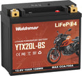 YTX20L-BS Lithium Motorcycle Battery, 12V 10AH LiFePO4 Battery with 700A, Built-in BMS, Replacement for ATV UTV Jet Ski Snowmobile Harley Riding Lawn Mower Generator